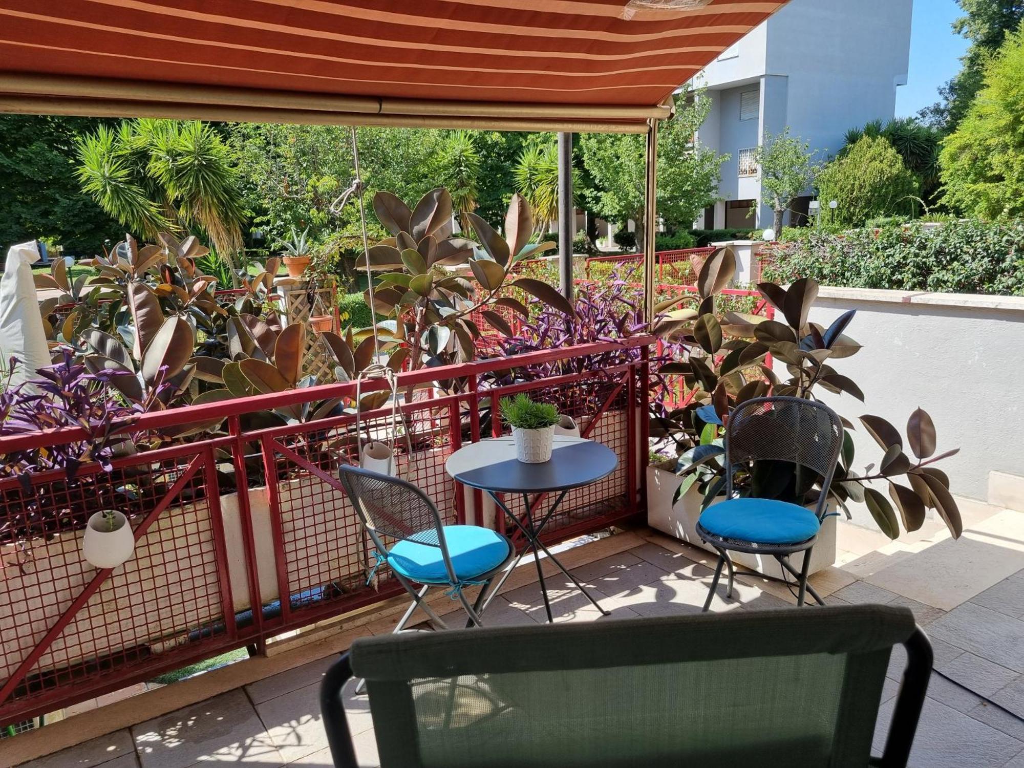 Intero Appartamento Con Giardino E Parcheggio Roma Dış mekan fotoğraf